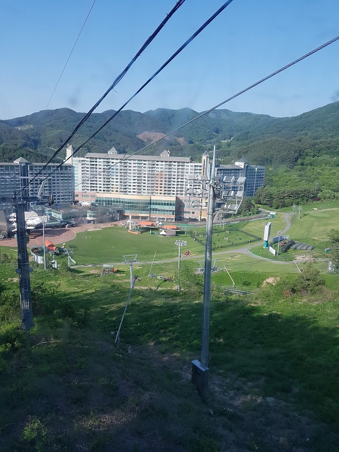 둔내막국수 사진 3