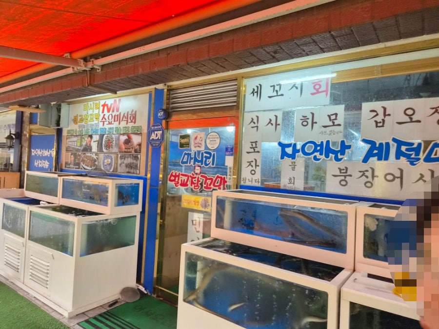 마시리벌교참꼬막 오금동본점 사진 1