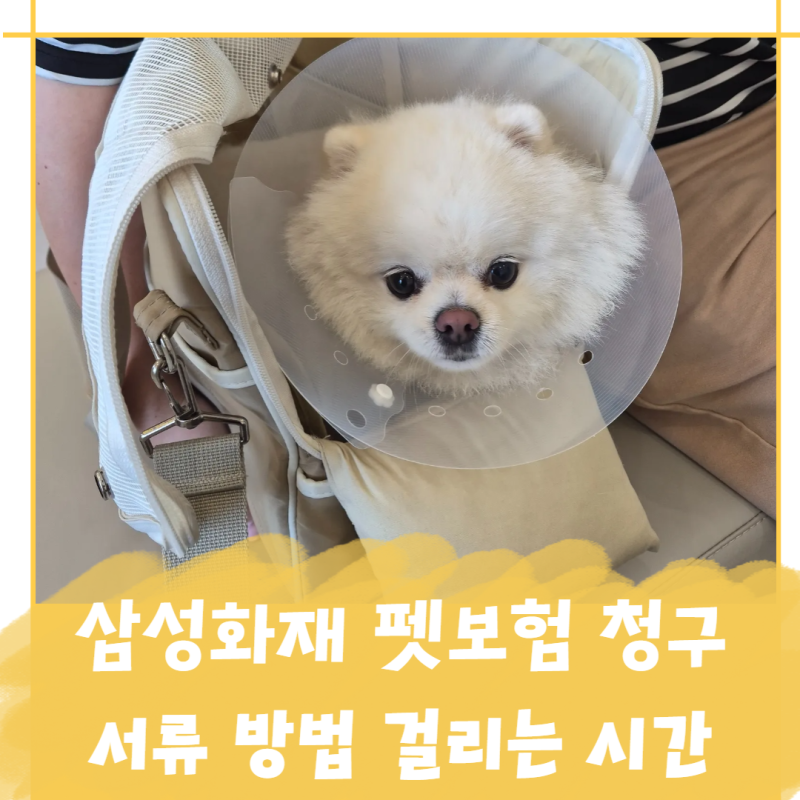 삼성화재 펫보험 청구 서류 방법 걸리는 시간