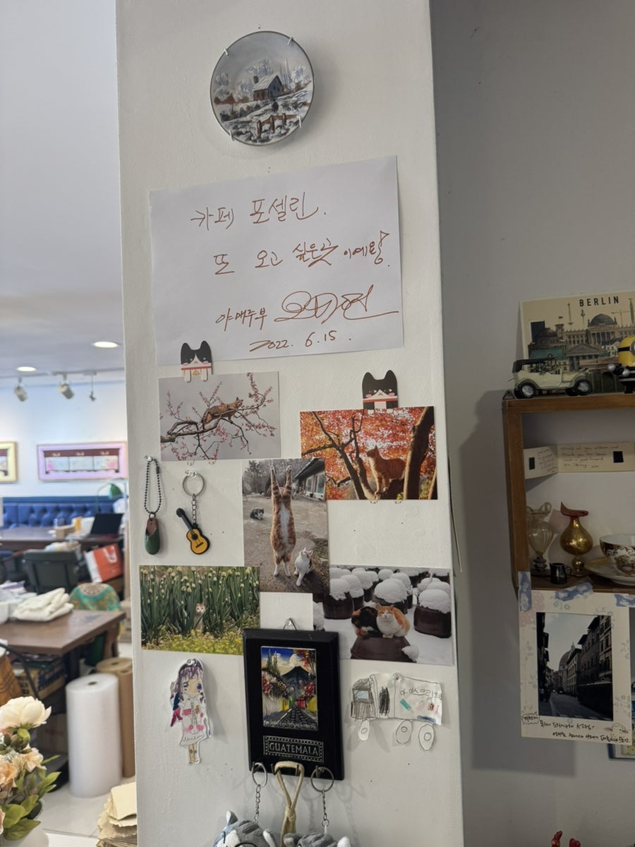 포셀린 사진 5
