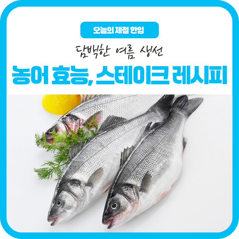 여름이 농어 제철! 담백한 농어 효능과 스테이크 레시피