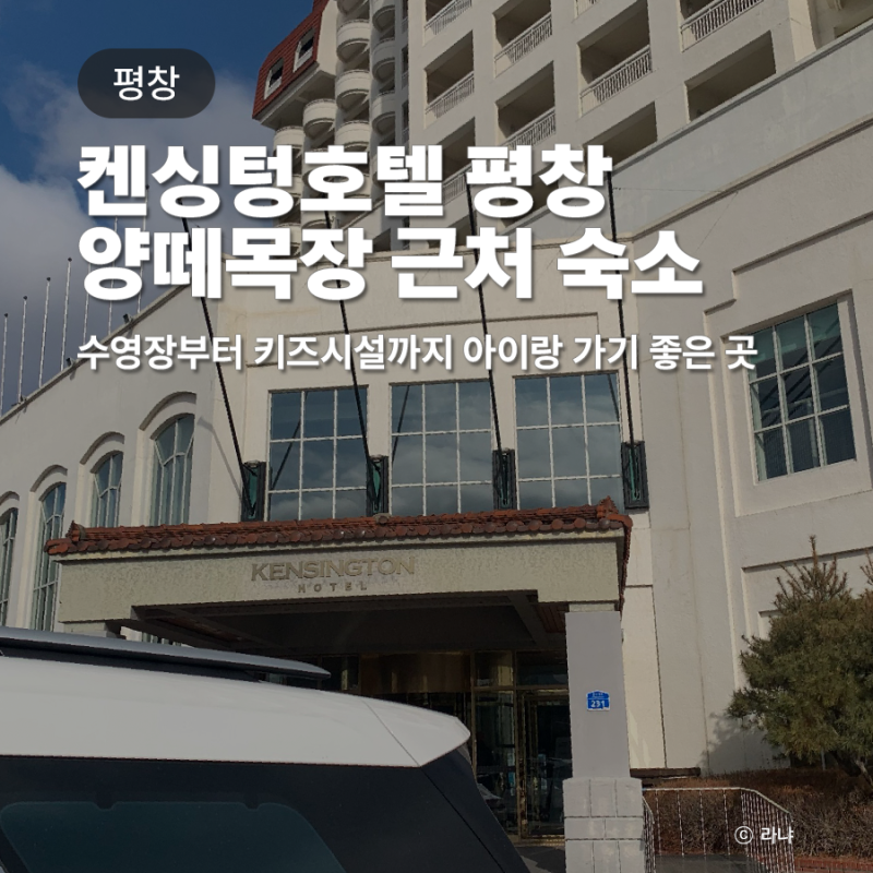 평창 켄싱턴호텔,  대관령 양떼목장 근처  가족여행 숙소