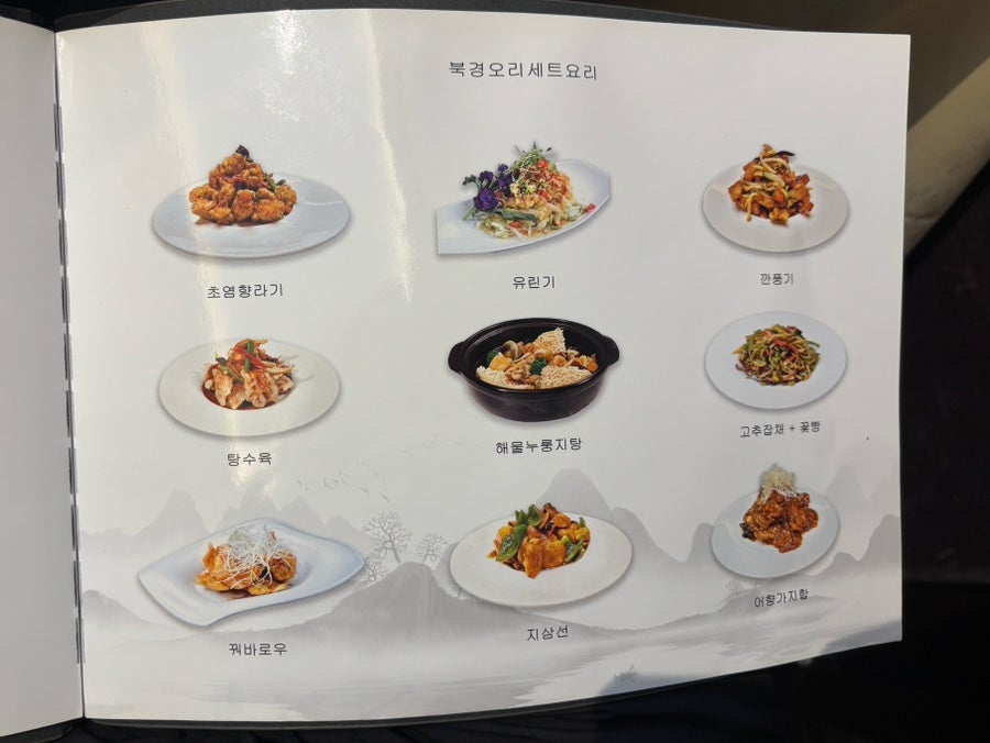 차이킹 북경오리 사진 4