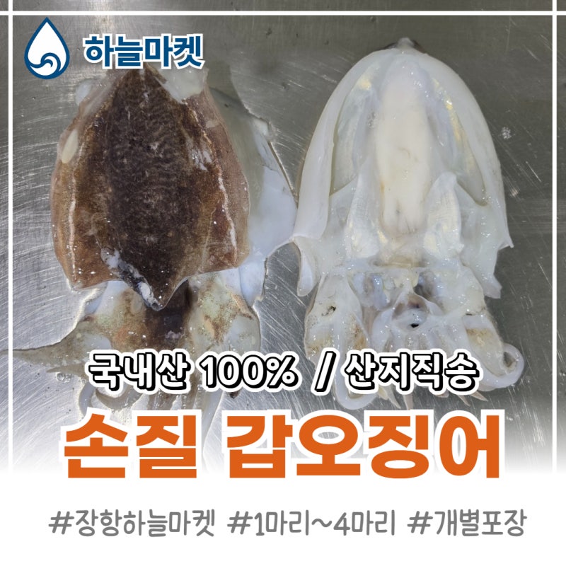 내장 싹 빼고 완벽 손질된 냉동 갑오징어 실중량 확인법과 탱글한 요리 팁