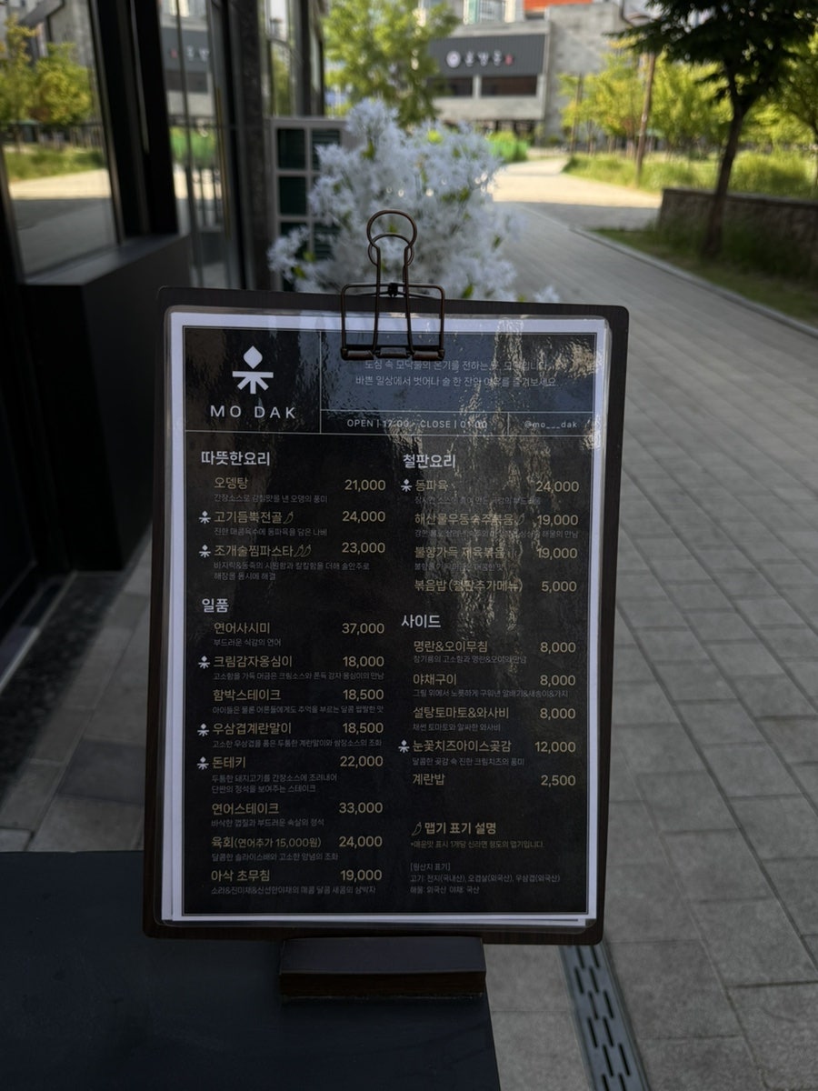 모닥 사진 4