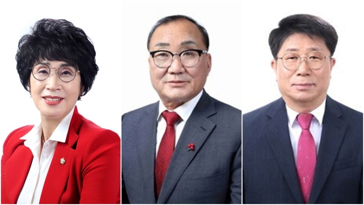 제10대 부여군<b>의회 의장 선출</b> ‘3파전’… 국민의힘 단일화 불발