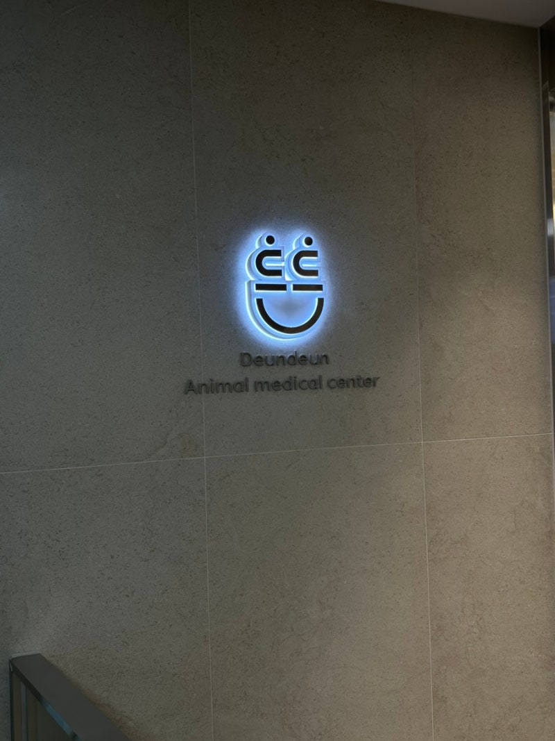 마산창원 동물병원 | 마산 든든동물의료센터 다녀왔멍