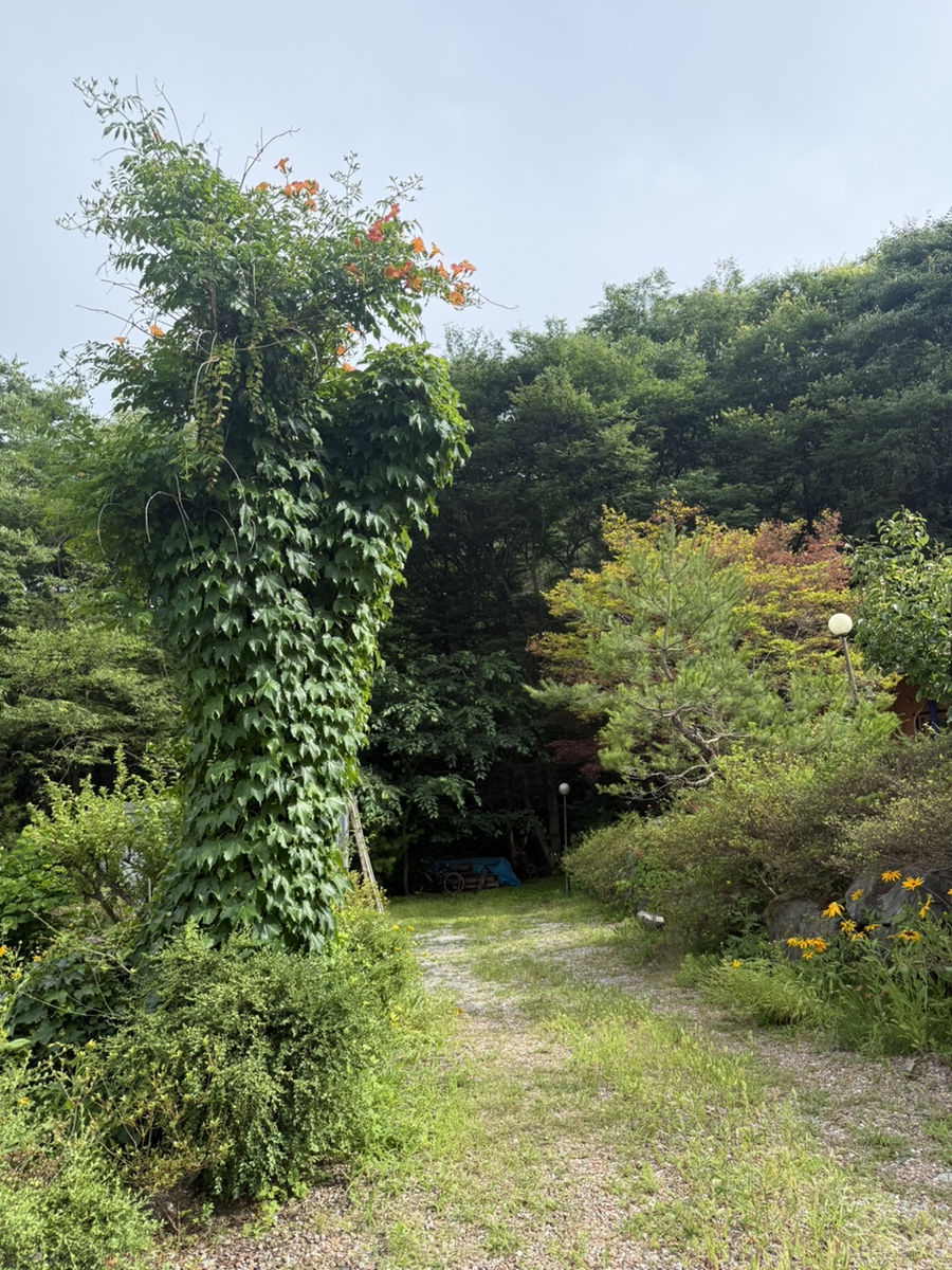 나이테펜션 사진 4