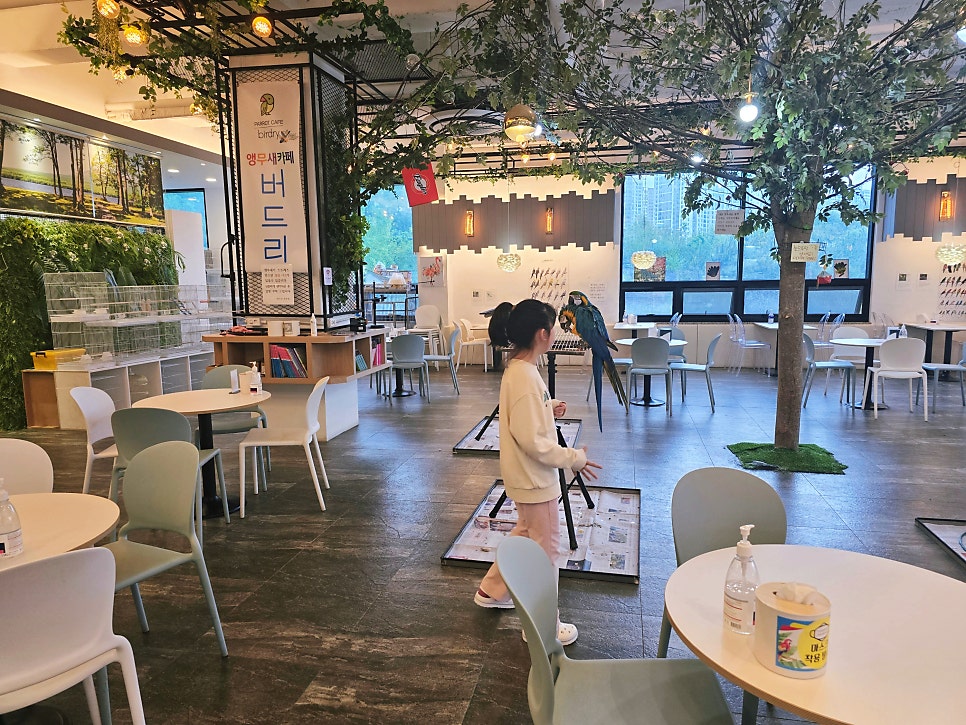 앵무새카페 버드리 전주 사진 5