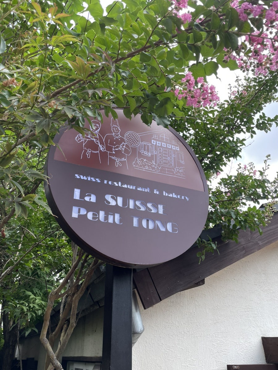 라스위스 사진 3