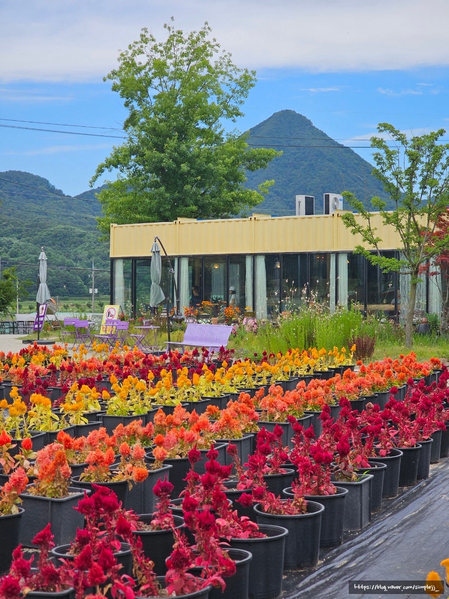 Geochangheobeubilriji photo 6