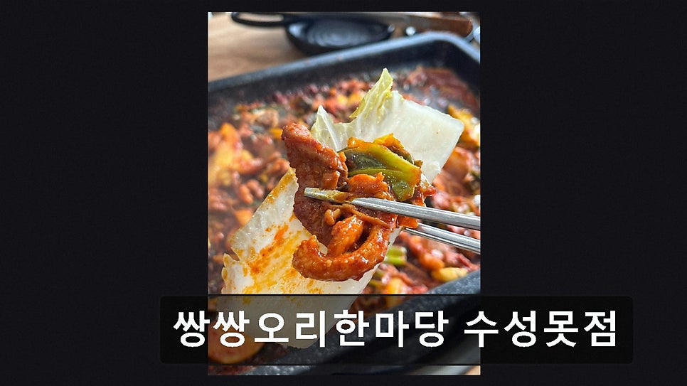 쌍쌍오리한마당 수성못점 사진 2