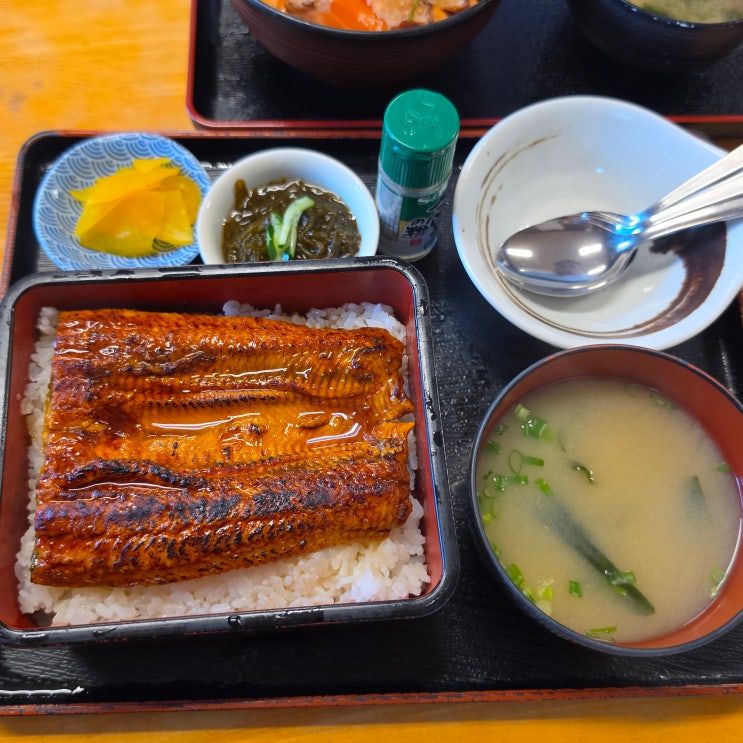 (5/5~5/9) <b>오키나와</b>여행 김해 <b>오키나와</b> 진에어, 오달렌트카... 
