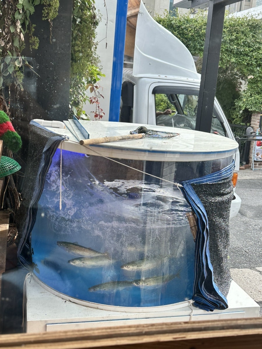 도회지 사진 5