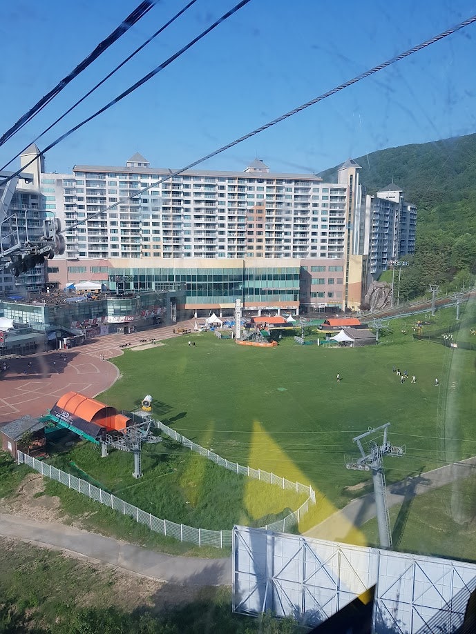 둔내막국수 사진 2