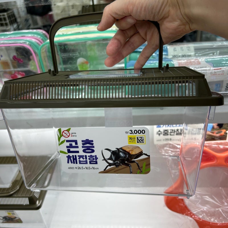 여름 필수템! 다이소 곤충채집함, 수중 관찰통 & 어항 꾸미기 소품까지 완전 정복