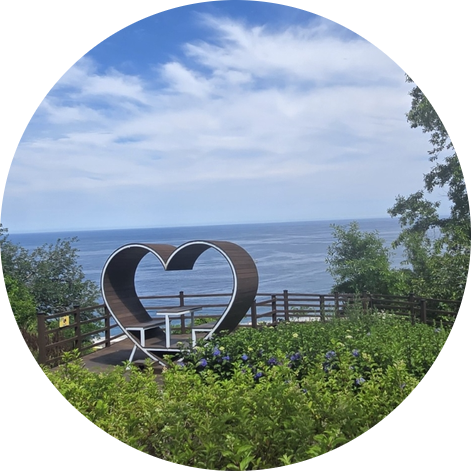 바람의 화원 사진 2