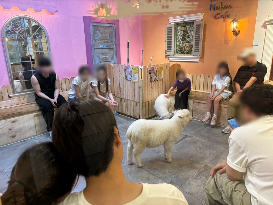 땡스네이쳐카페 사진 6