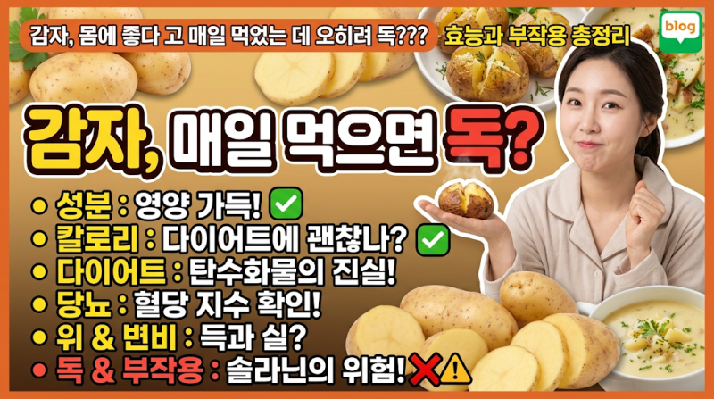 감자, 몸에 좋다고 매일 먹었는데 오히려 독??? 효능과 부작용등 총정리(성분, 칼로리, 다이어....