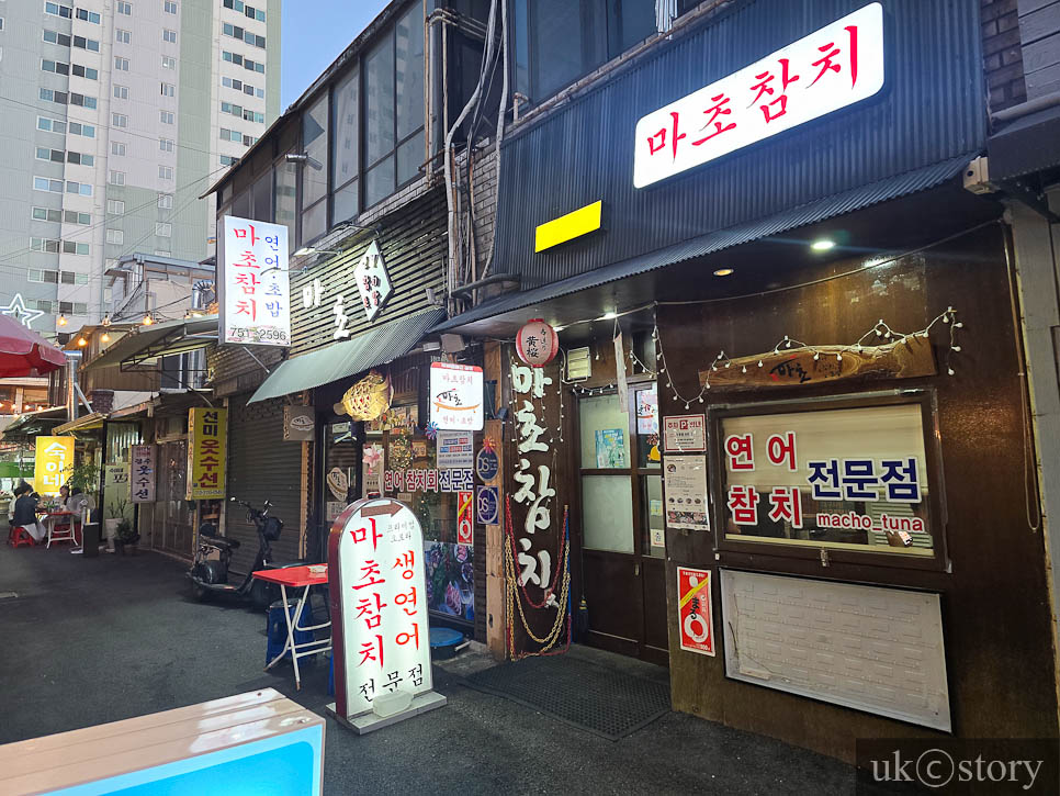 마초 사진 1