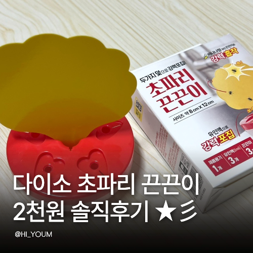 다이소 초파리 끈끈이 트랩 후기 2,000원인데 벌써 초파리 잡혔어요