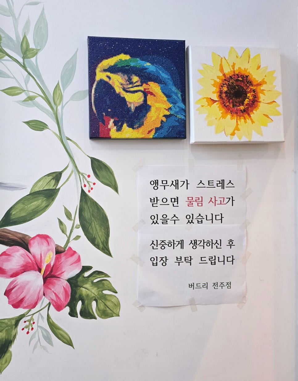 앵무새카페 버드리 전주 사진 4