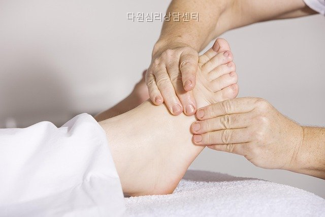 다원 사진 4