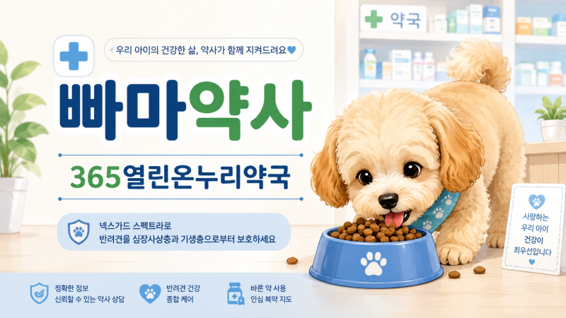 [약사] 강아지 심장사상충약 넥스가드 스펙트라 한 달에 한 번이면 끝? 복용법과 주의사항 정....