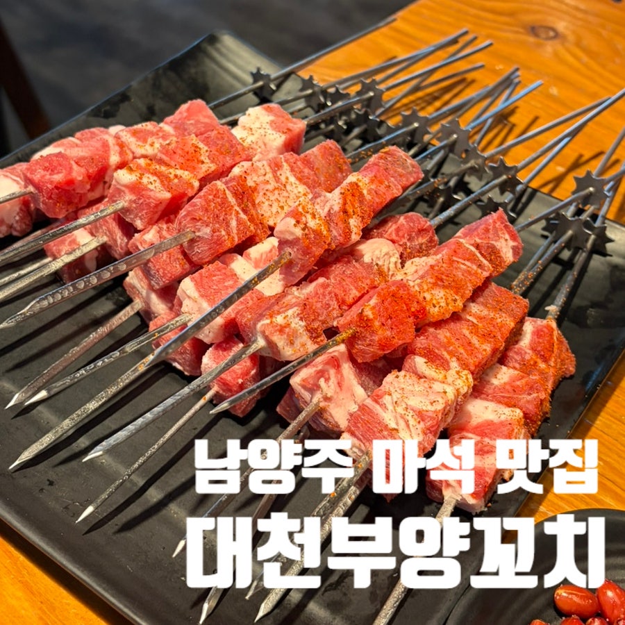 대천부양꼬치 마석점 사진 1