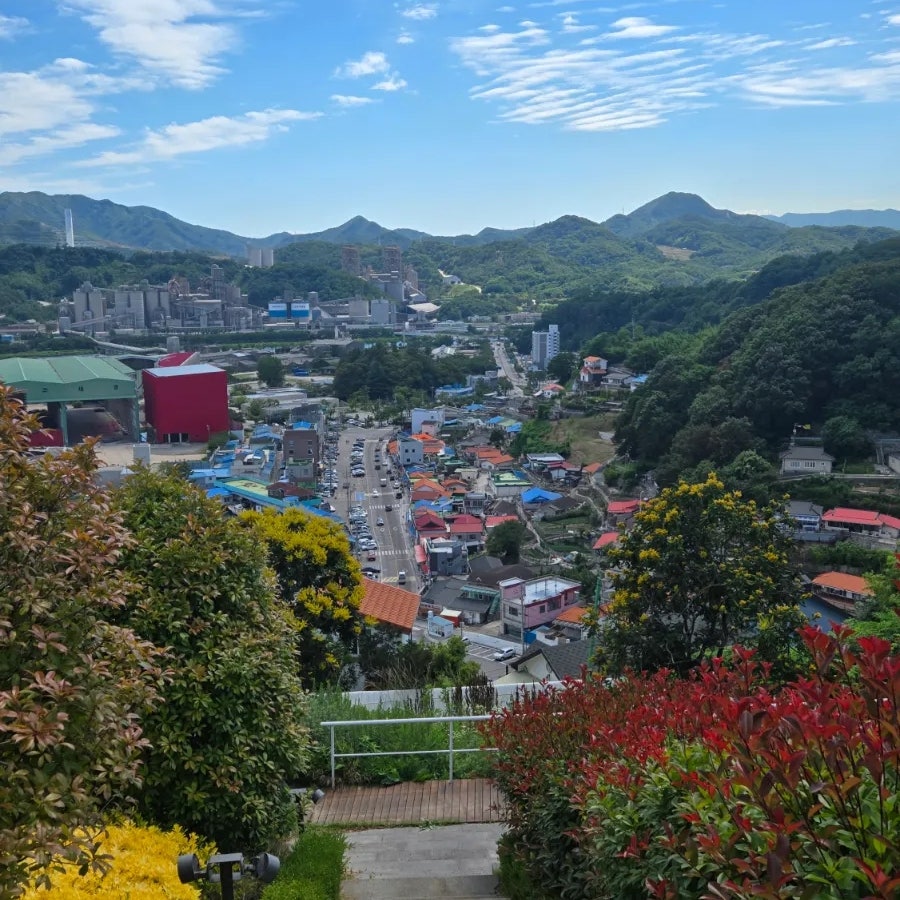 바람의 화원 사진 5