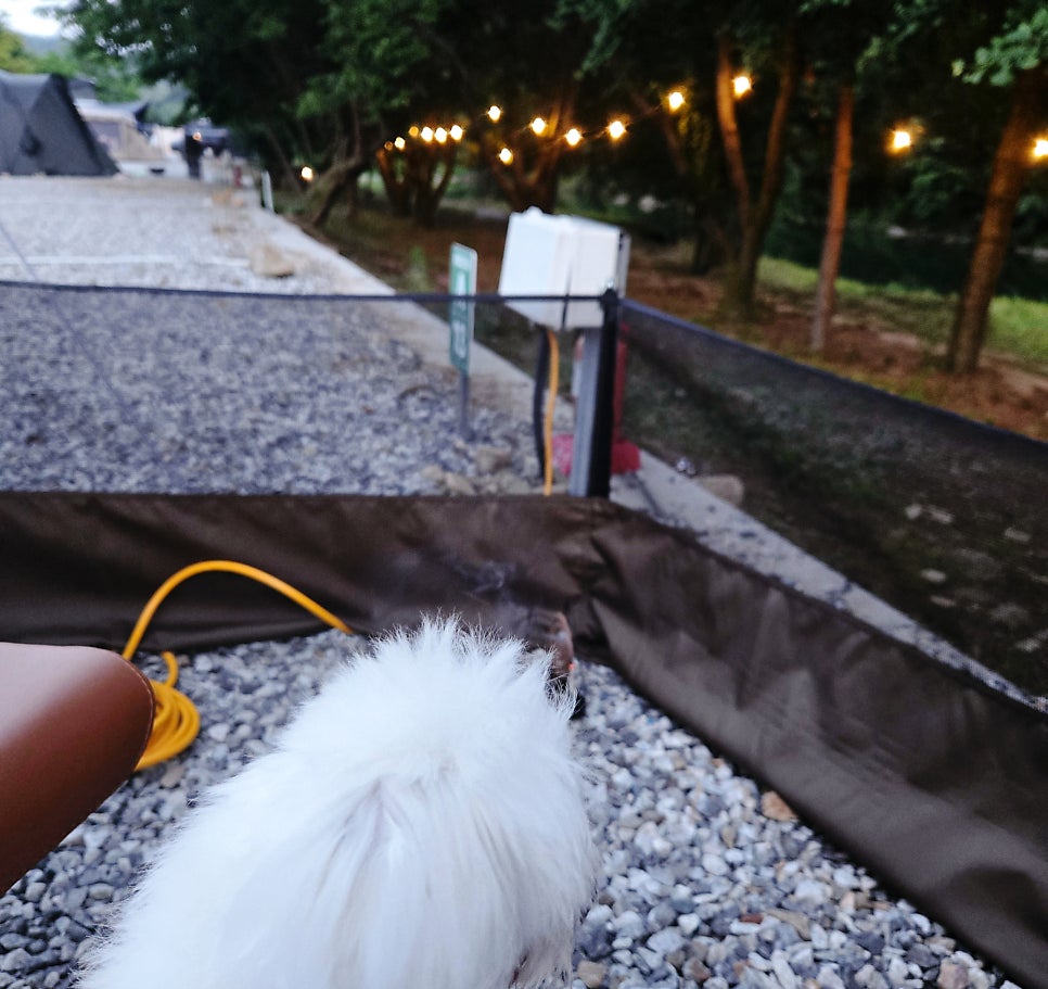 라라랜드 사진 6