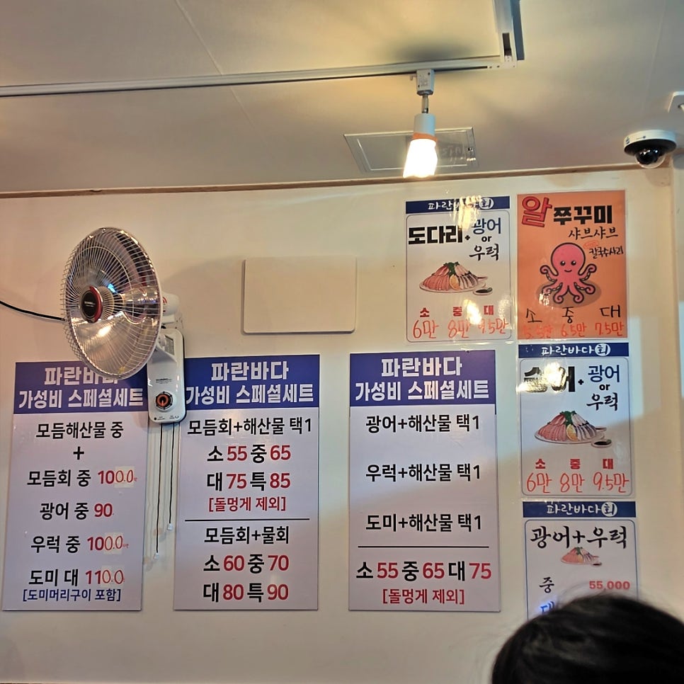 파란바다회 사진 5