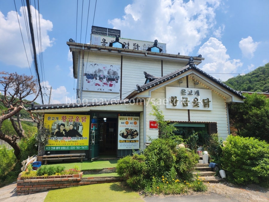 황금옻닭 사진 1