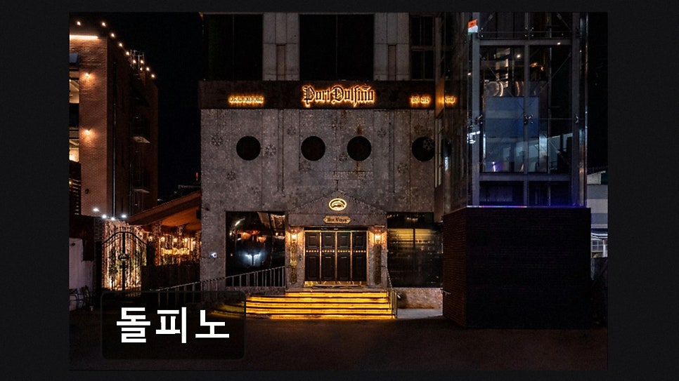 돌피노 사진 2