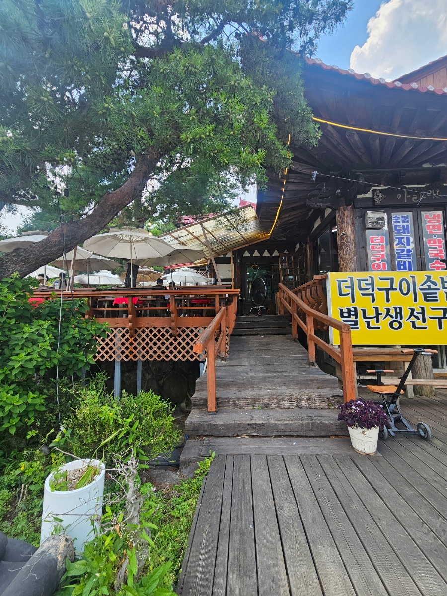 아라리오 사진 5