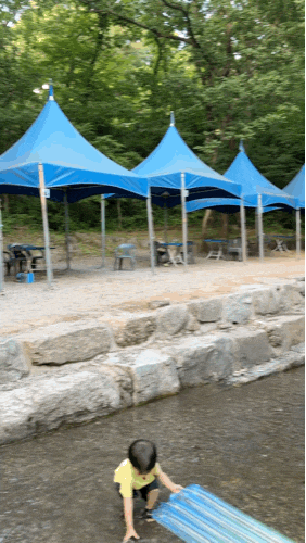 과천 [서울대공원 캠핑장] 텐트• 피크닉존, 계곡, 놀이터 상세한 후기 함께 하시죠 / 러브버....