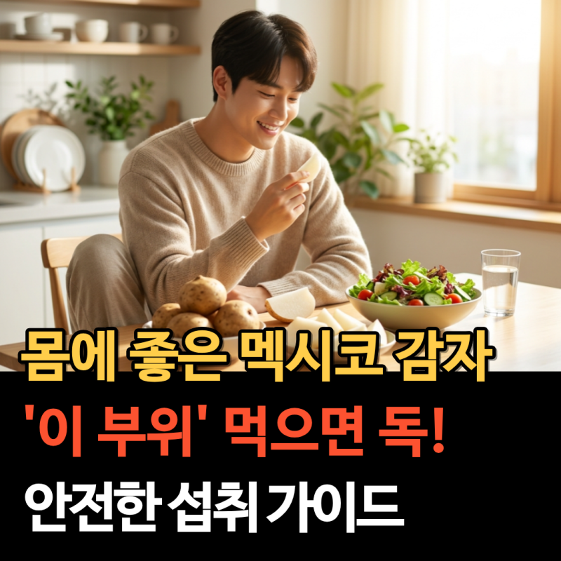 멕시코감자효능 숨겨진 5가지 이점과 부작용 없이 먹는 법