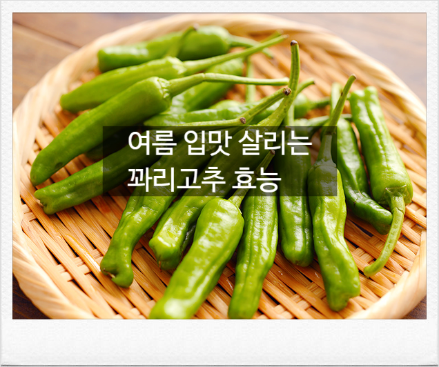 입맛 살리는 '꽈리고추'의 놀라운 효능, 부작용 없이 가장 건강하게 먹는 법