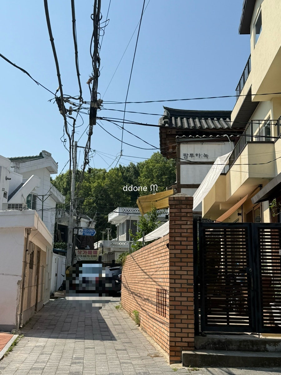 팜투하녹 사진 2