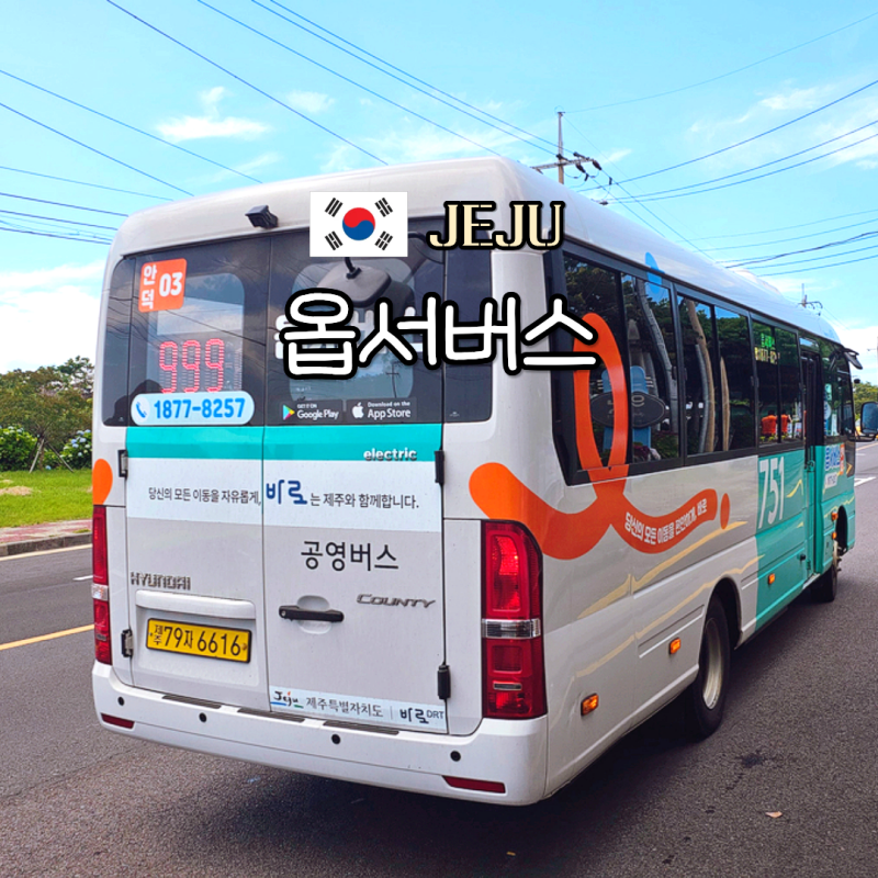 콜택시 말고 콜버스? 제주 뚜벅이 여행 꿀팁 옵서버스 호출 방법 이용 후기 총정리