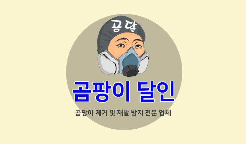 바닥 곰팡이 제거 1층 아파트 장판 밑 습기로 시작된 시공 사례