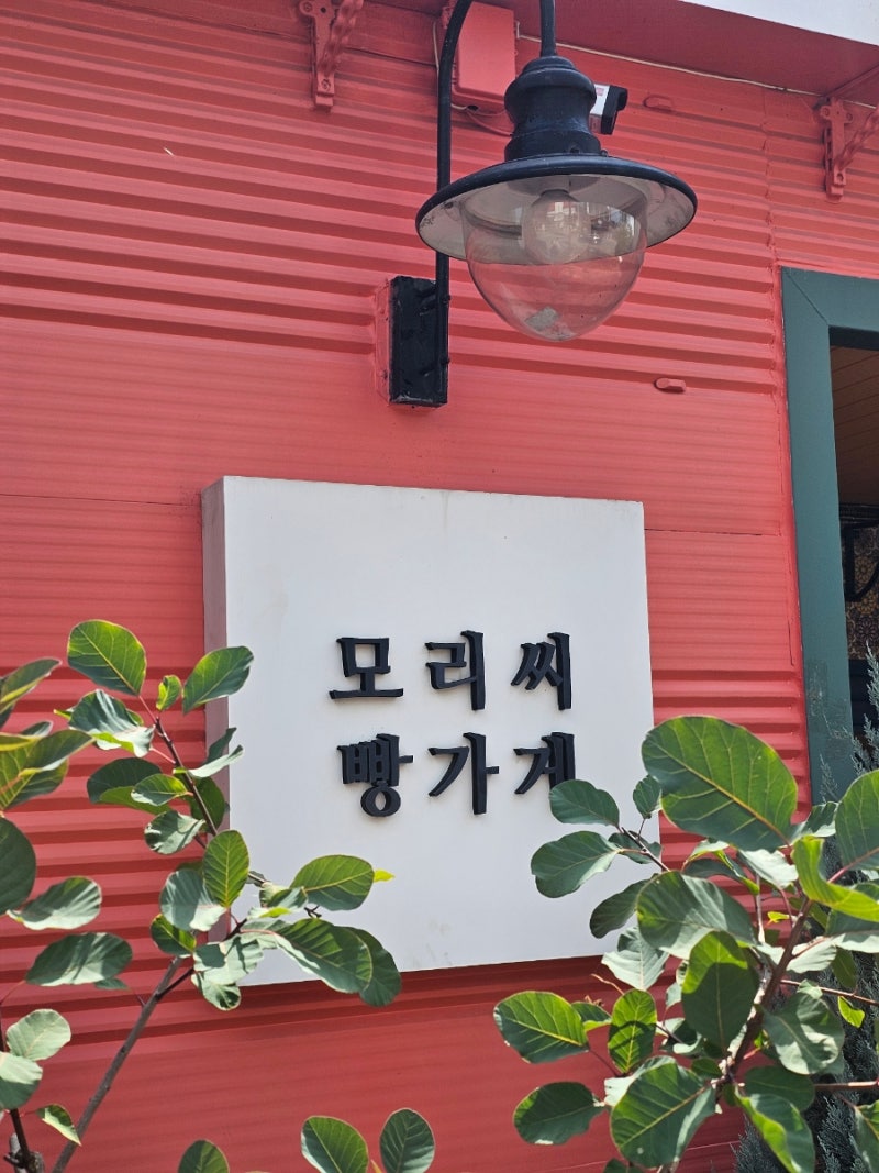벌교 태백산맥 문학거리 후기, 소설 속 주인공을 만나는 특별한 문학여행