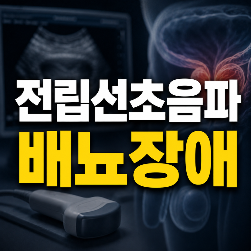 전립선 초음파 검사 PSA 검사, 배뇨 불편감이 있을 때 필요한 경우