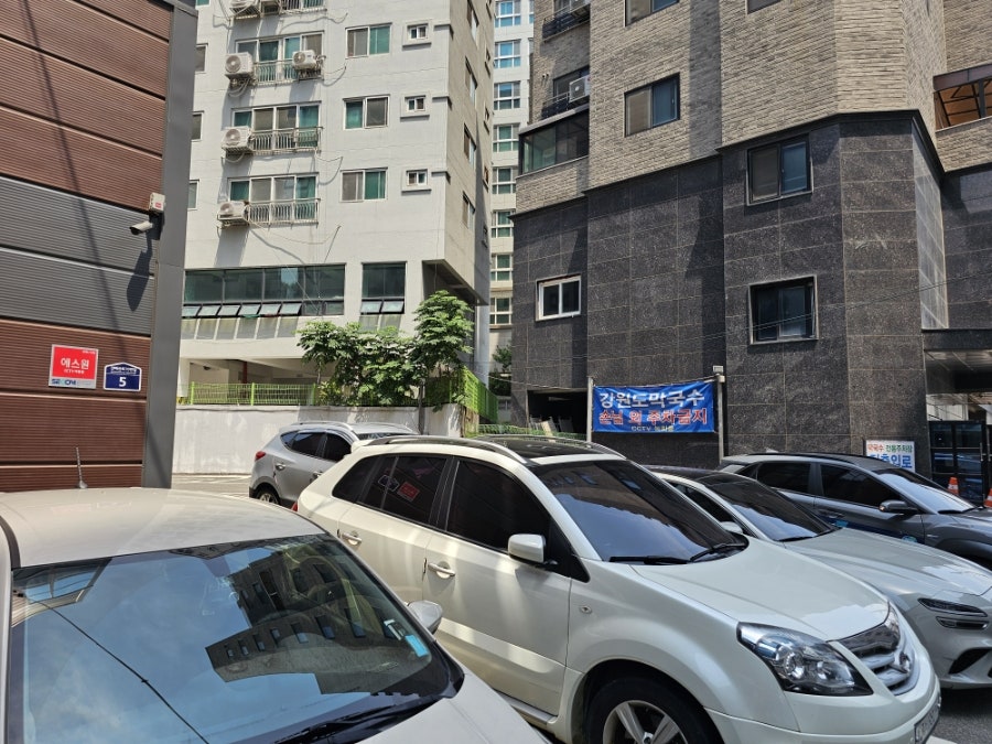강원도막국수 사진 3
