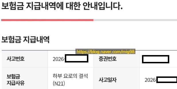 요로결석 자연배출 가능할까? 3mm 결석 응급실부터 4일간의 실제 후기(2탄)