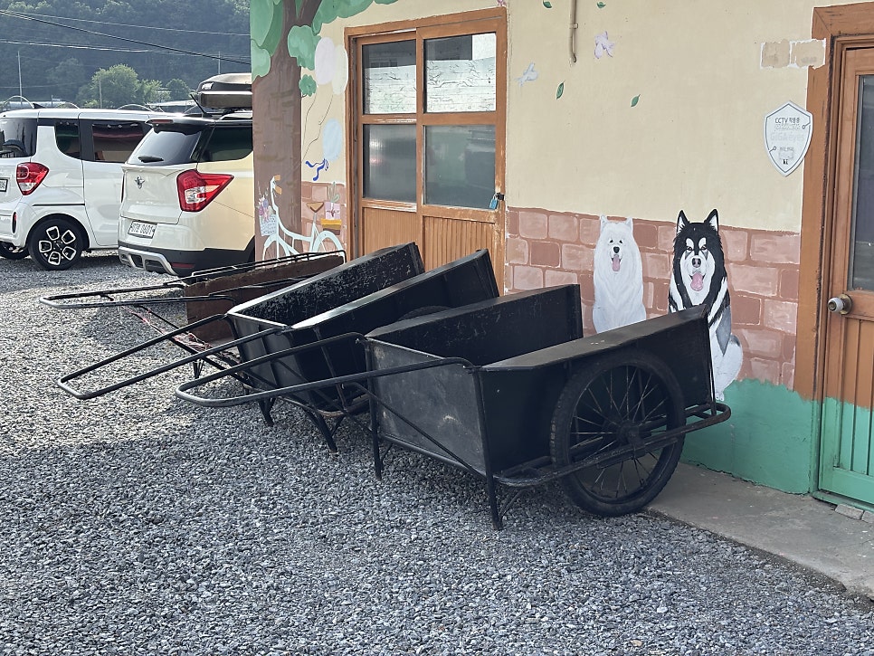 피플앤독느티캠핑장 사진 3