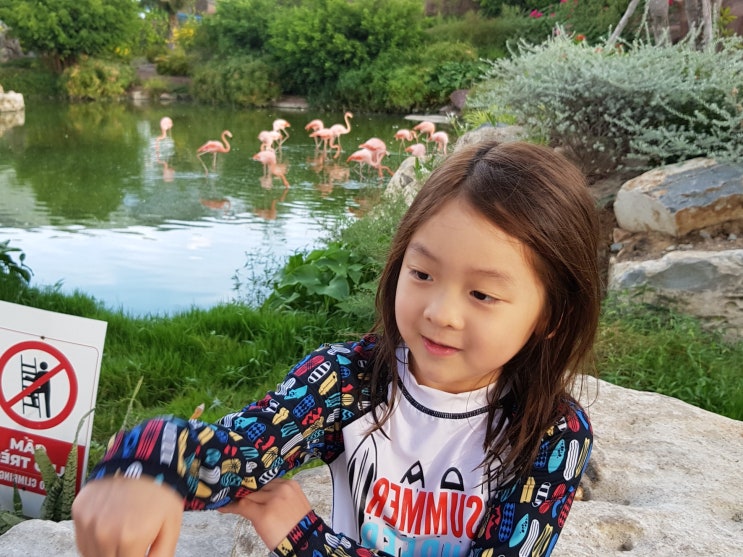 다낭 나트랑 이심 가족여행 말톡 베트남 eSIM 후기