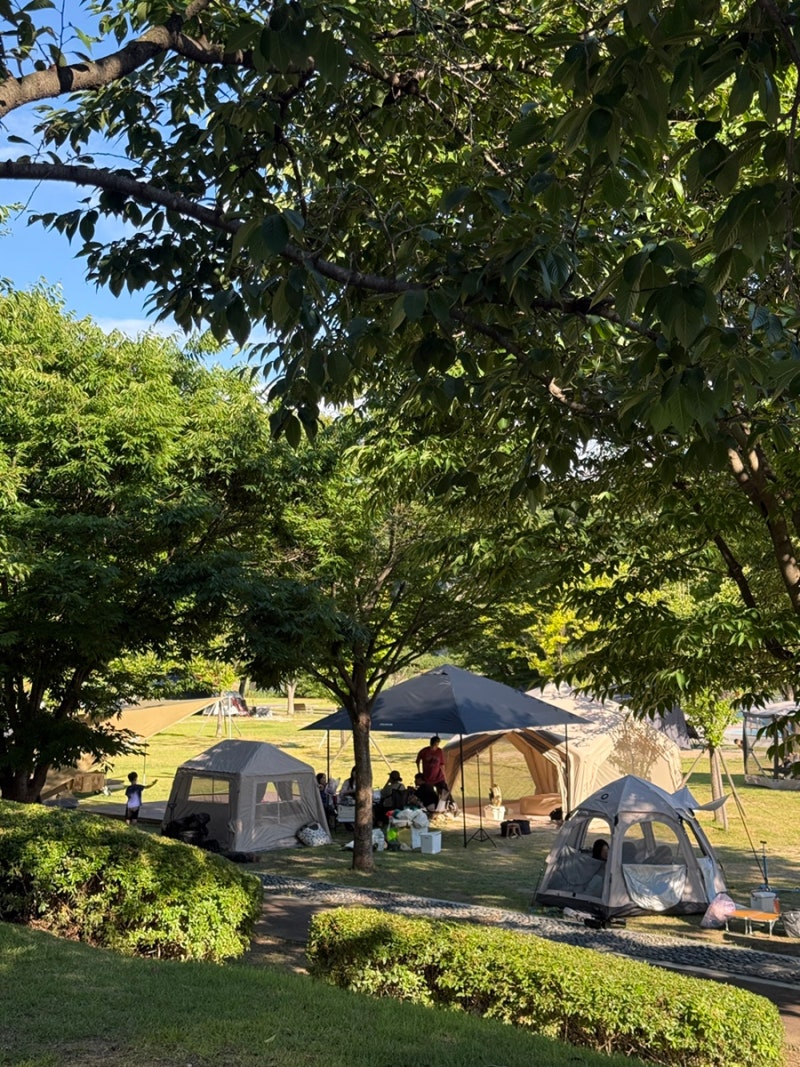 [영천 캠핑장 추천] 임고강변공원 무료 노지캠핑 취사 가능! 대구 포항 경주 근교 캠프닉 후....