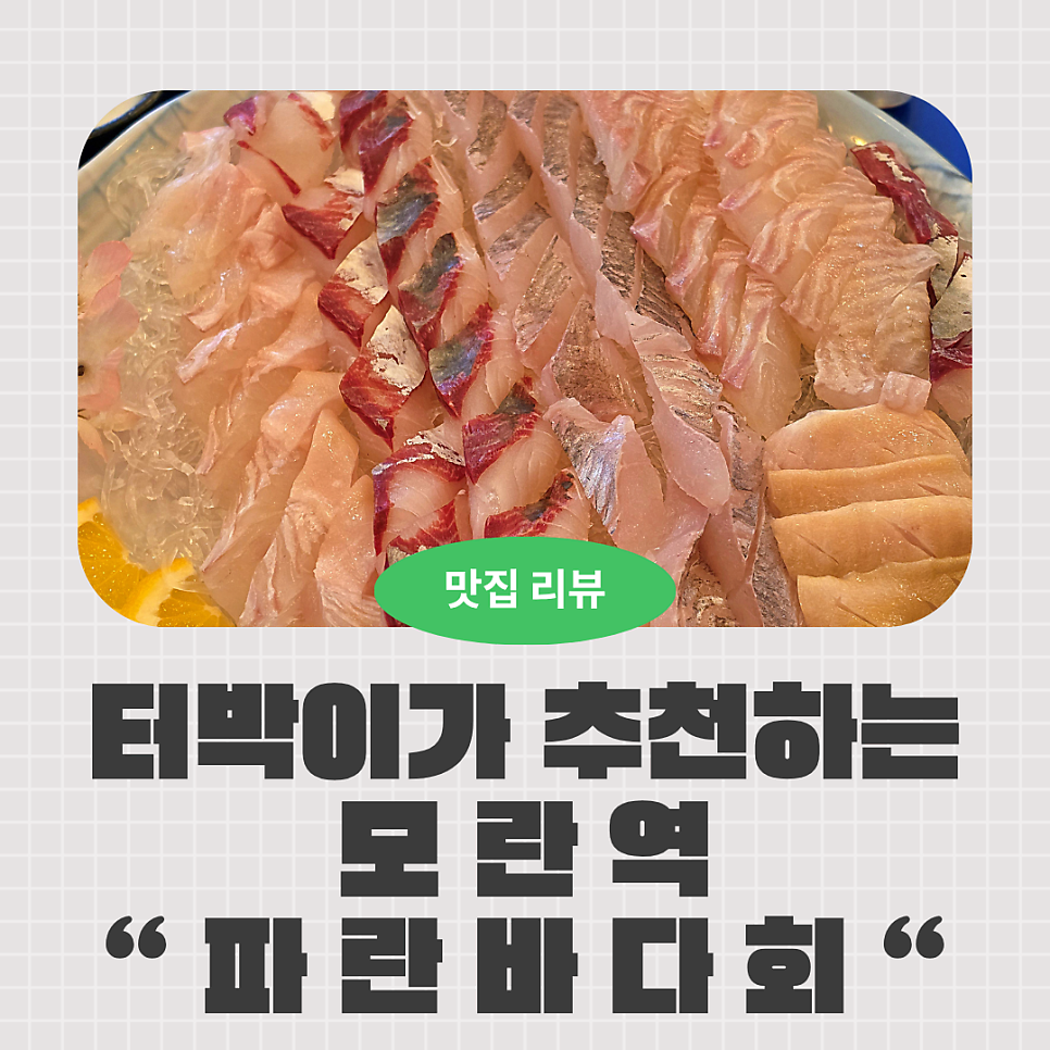 파란바다회 사진 1