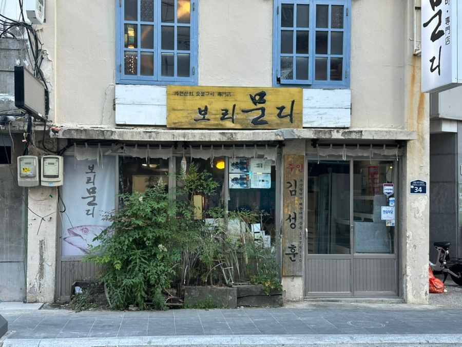 보리문디 사진 1